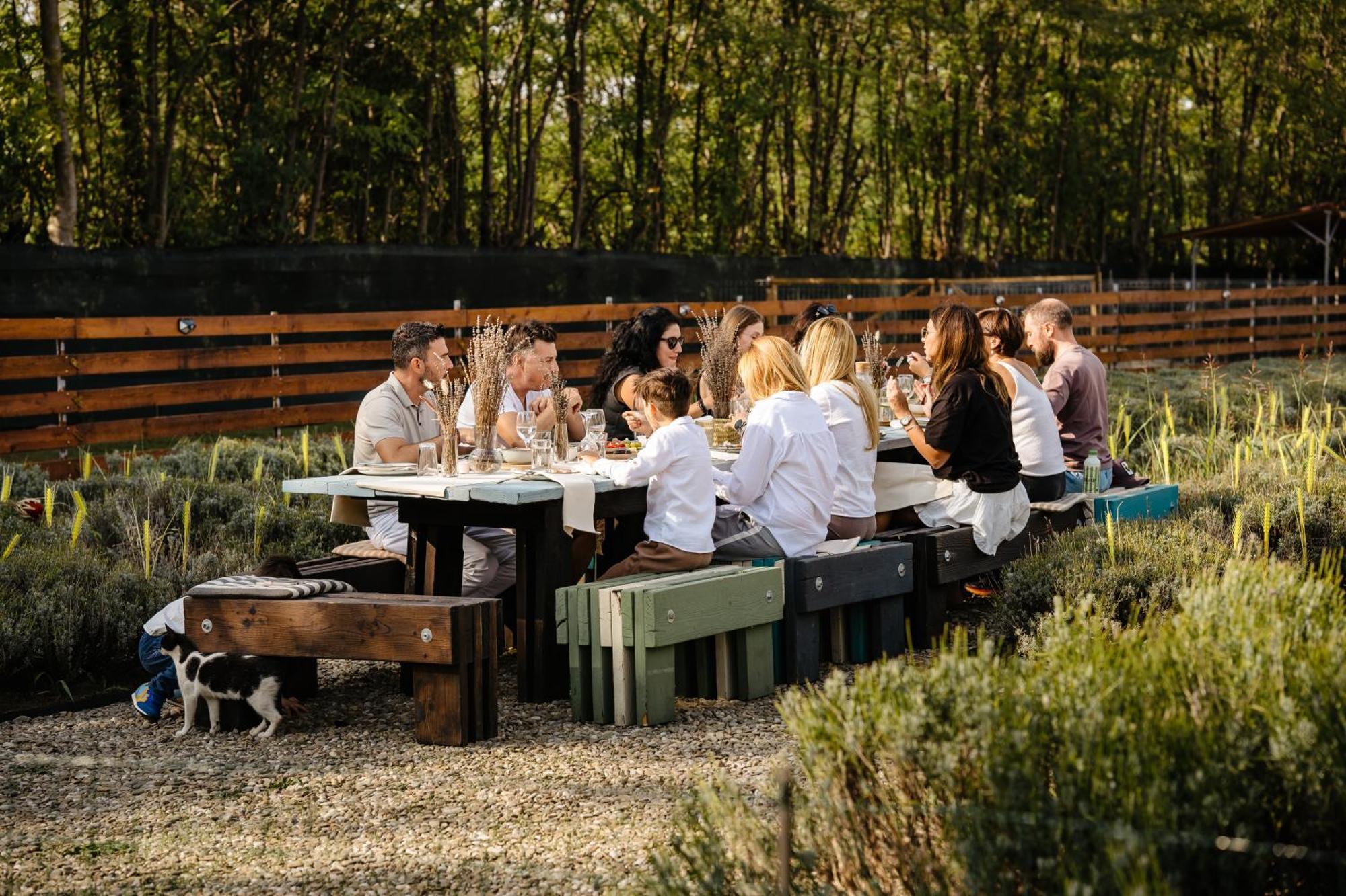 The Tribe Alpaca Retreat Hotel Branesti Eksteriør billede