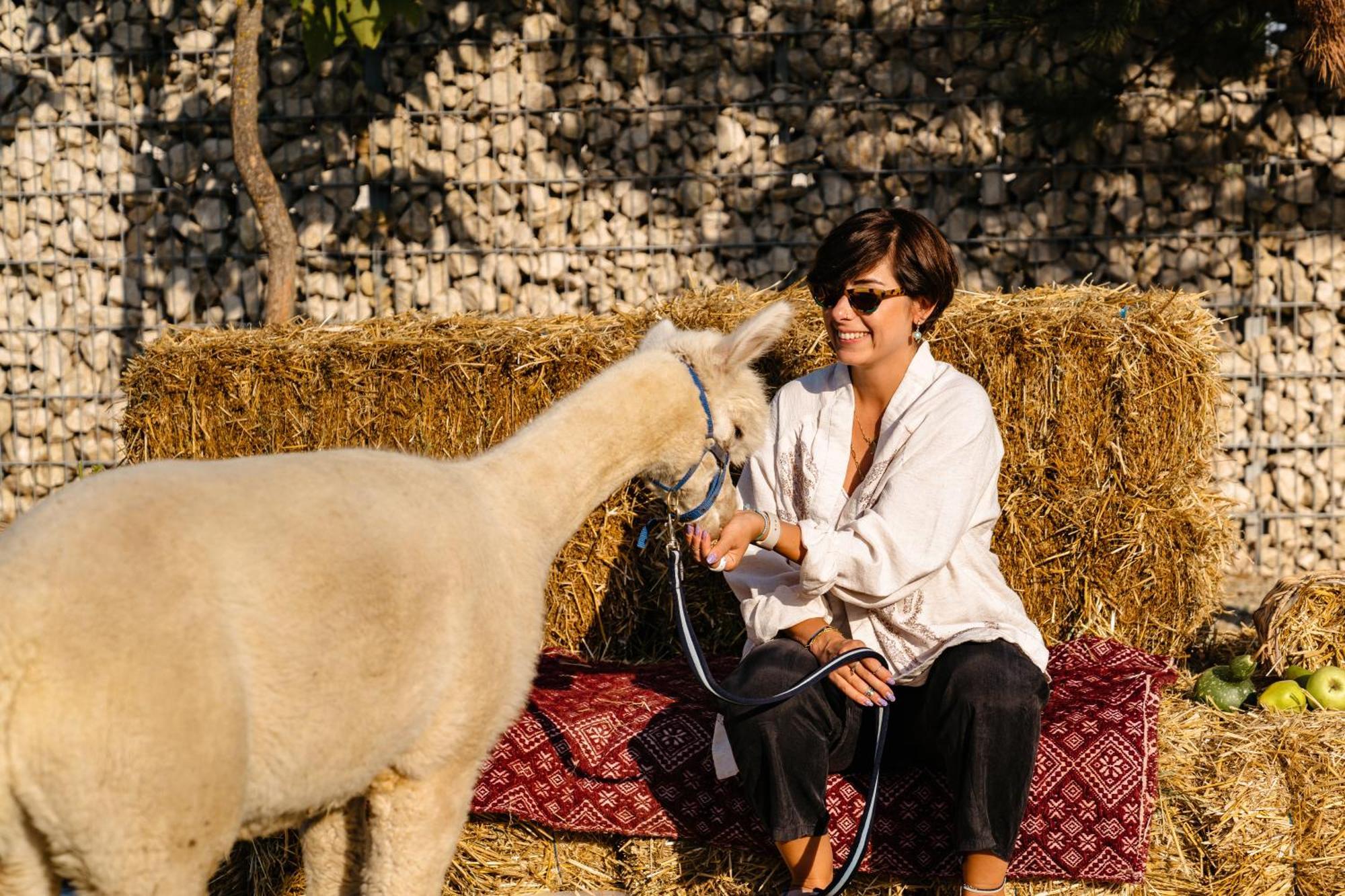 The Tribe Alpaca Retreat Hotel Branesti Eksteriør billede