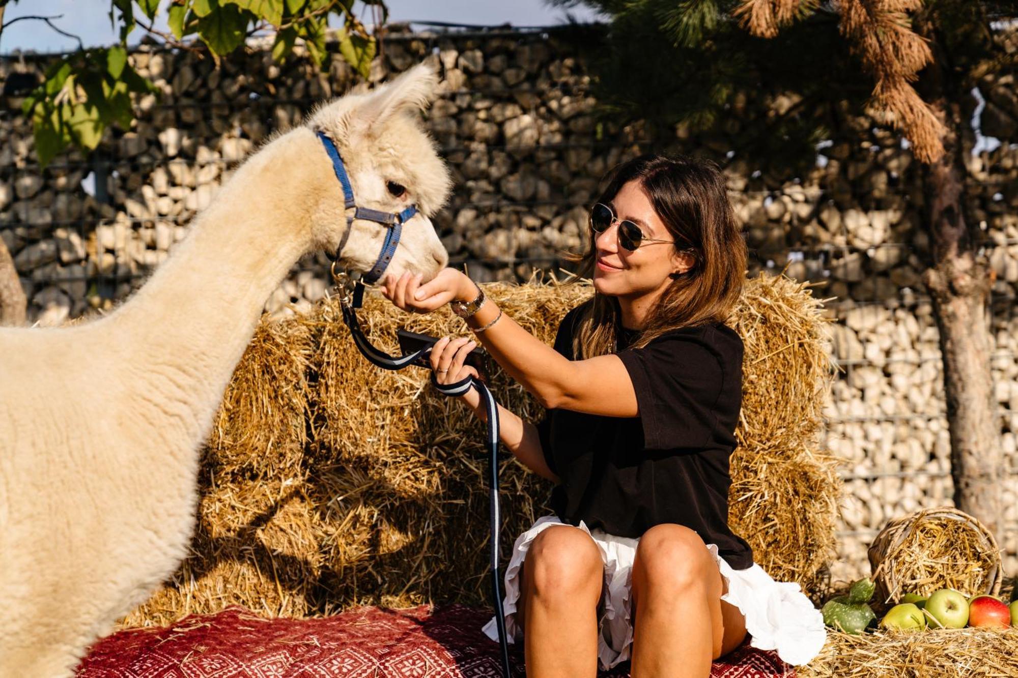 The Tribe Alpaca Retreat Hotel Branesti Eksteriør billede
